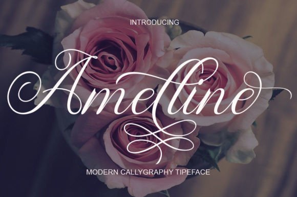 Amelline: A Script Font for Modern Branding