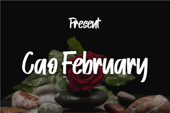 Cao February Font for Elegant Branding